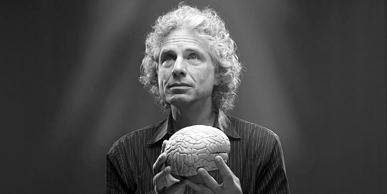 Steven Pinker – reálné rizikové faktory války